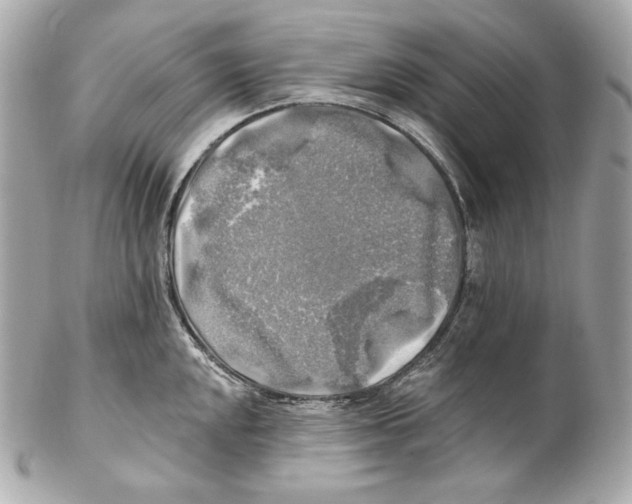 X0000102021048200808151311