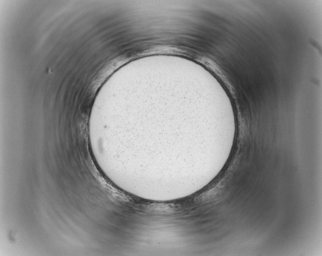 X0000102021049200808151311