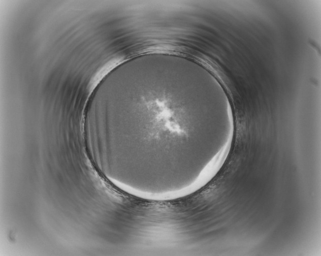 X0000102021050200808151311