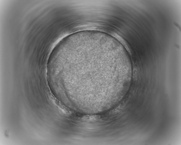 X0000102021051200808151311