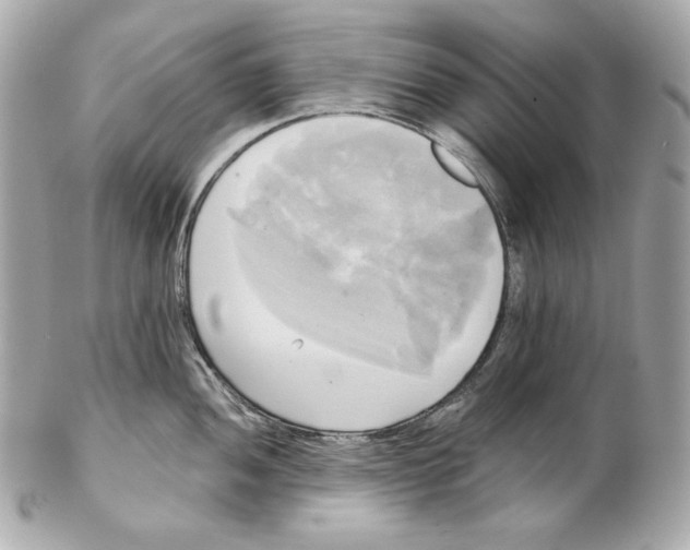X0000102021052200808151311