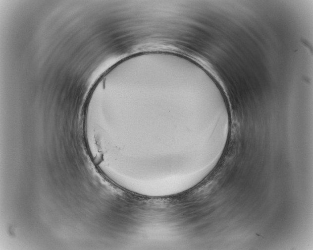 X0000102021053200808151311