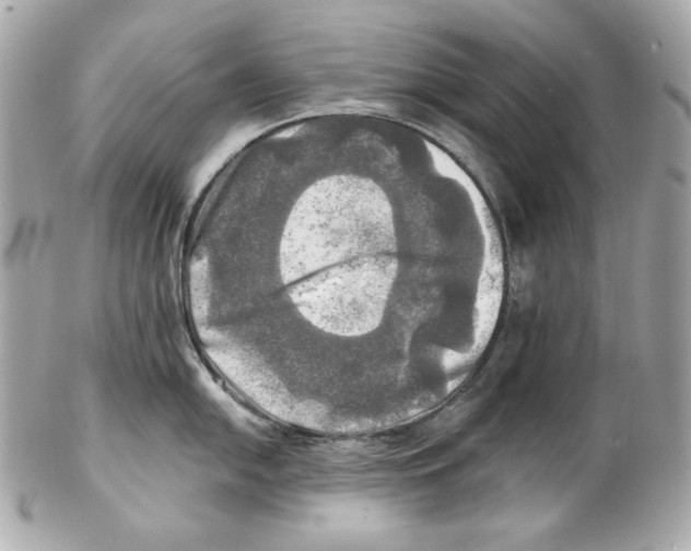 X0000102021054200808151311