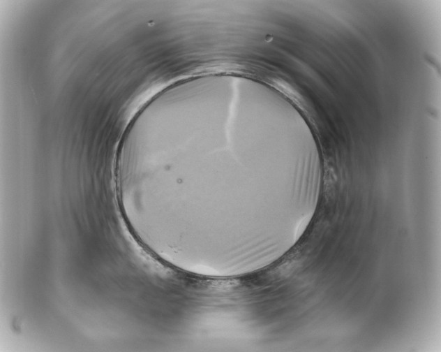 X0000102021055200808151311