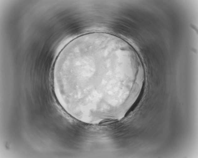 X0000102021056200808151311