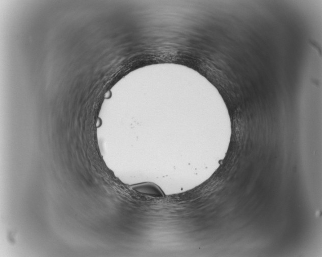 X0000102021057200808151310