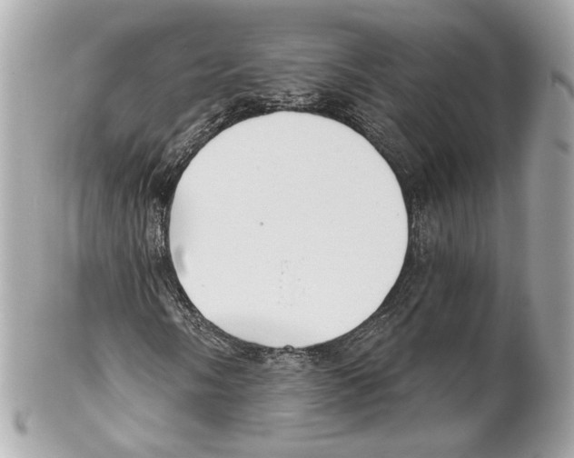 X0000102021058200808151310