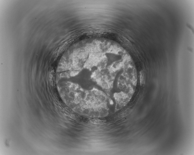 X0000102021059200808151310
