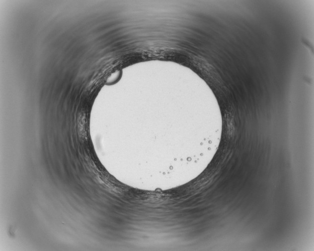 X0000102021060200808151310