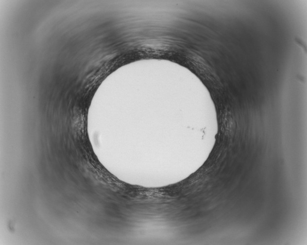 X0000102021061200808151310