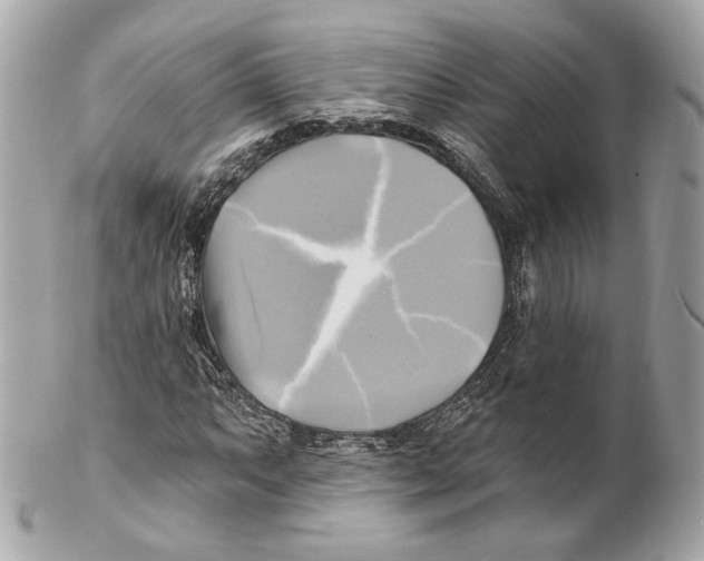 X0000102021063200808151310