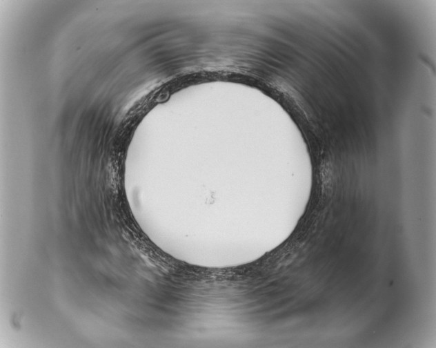X0000102021064200808151310