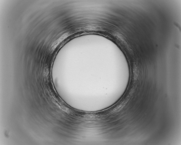 X0000102021065200808151310