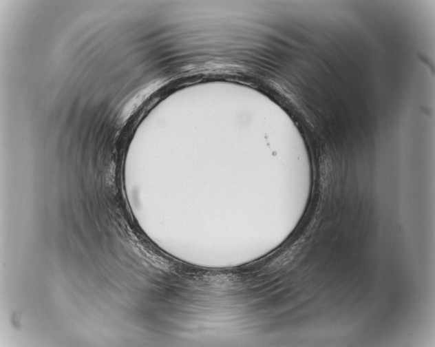 X0000102021066200808151310