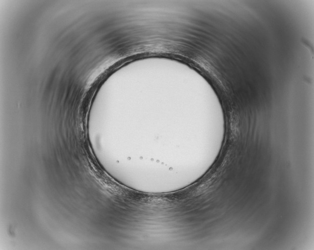 X0000102021070200808151310