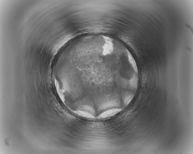 X0000102021071200808151310