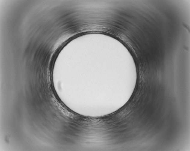 X0000102021072200808151310