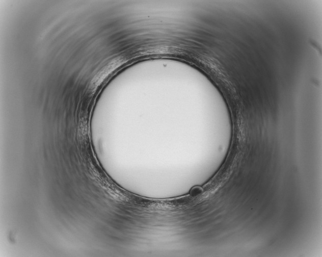 X0000102021073200808151310