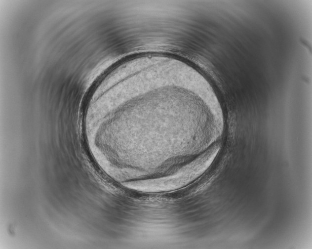 X0000102021077200808151310