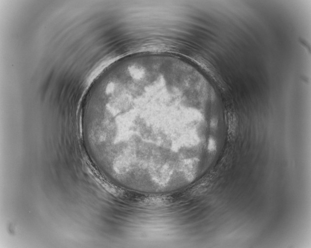 X0000102021078200808151310
