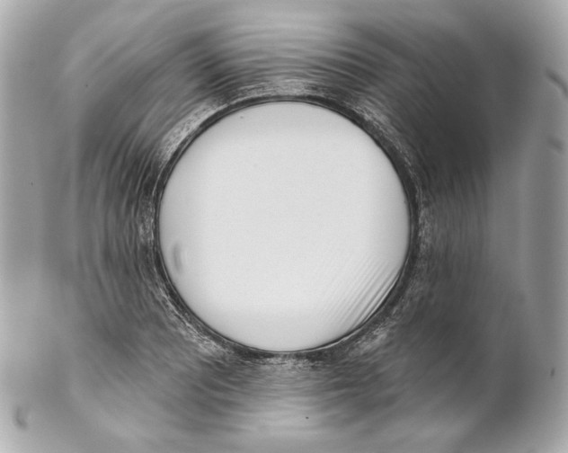 X0000102021081200808151310