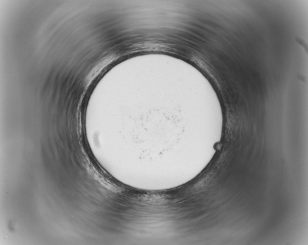 X0000102021082200808151310