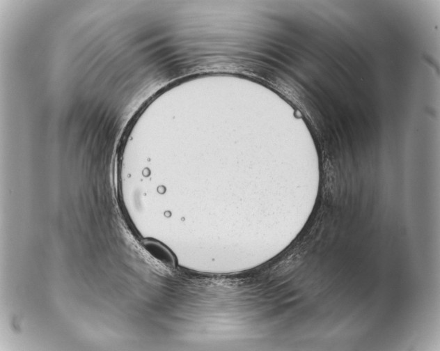 X0000102021084200808151310