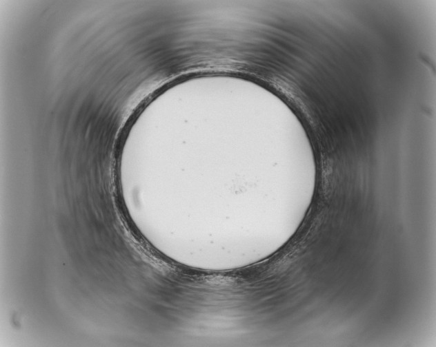 X0000102021085200808151310
