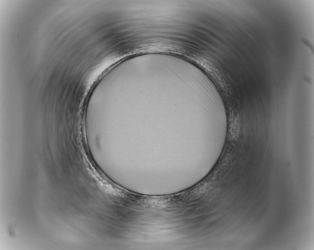 X0000102021086200808151310