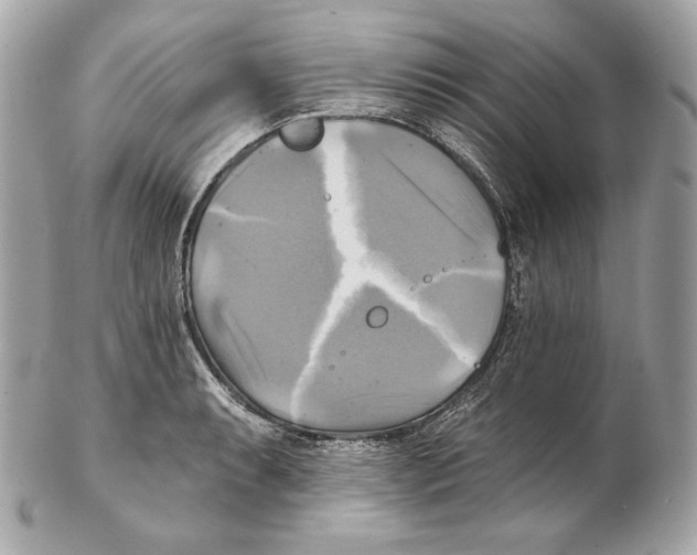 X0000102021087200808151310
