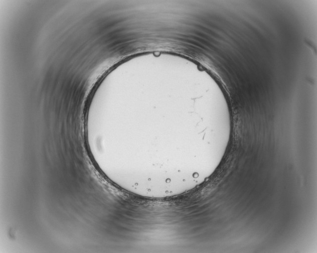 X0000102021088200808151310