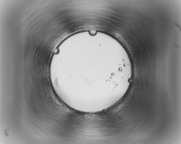 X0000102021089200808151310