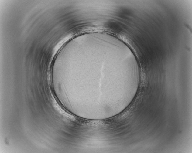 X0000102021090200808151310