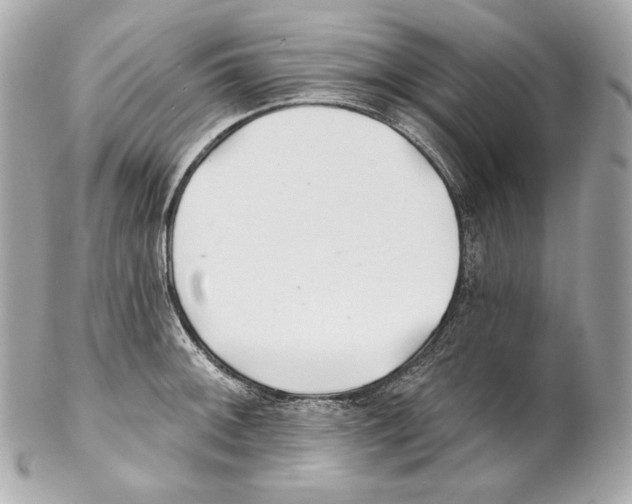 X0000102021092200808151310