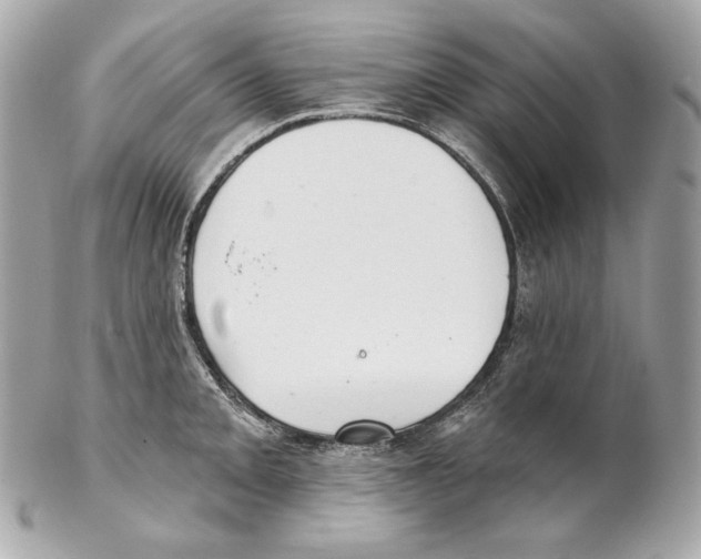 X0000102021093200808151310