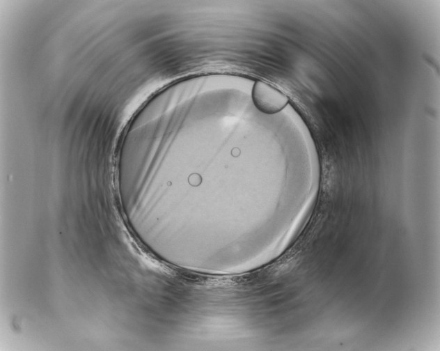 X0000102021094200808151310