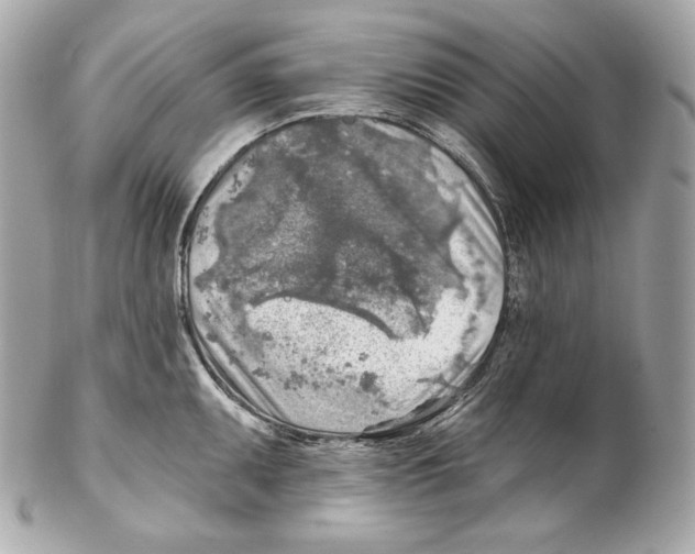 X0000102021095200808151310