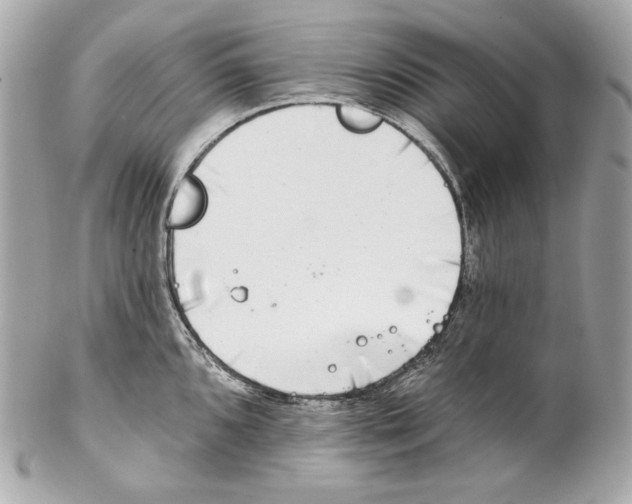 X0000102021096200808151310