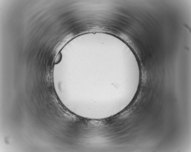X0000102021097200808151310