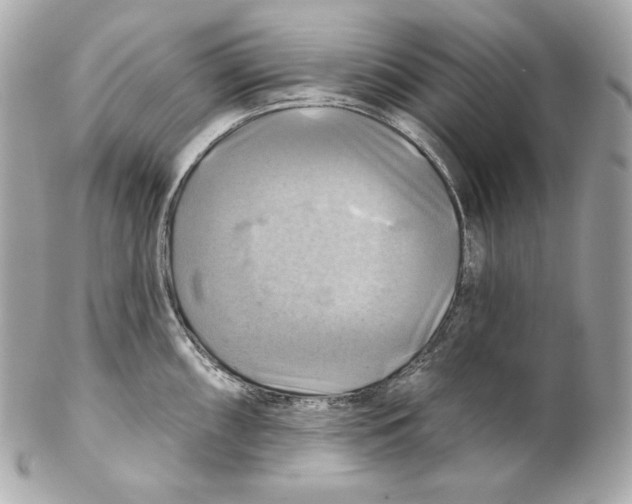 X0000102021098200808151310
