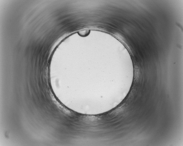 X0000102021100200808151310