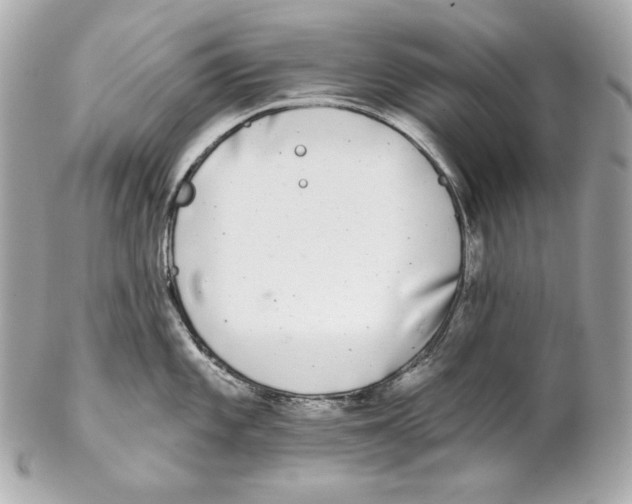 X0000102021101200808151310
