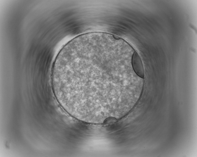 X0000102021104200808151309