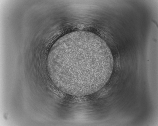 X0000102021105200808151309