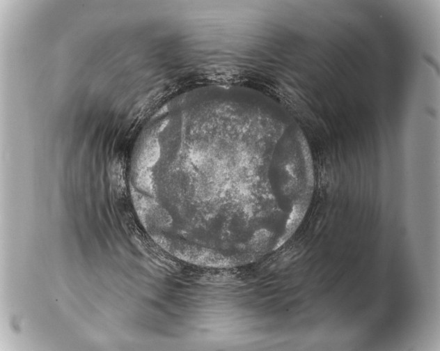 X0000102021106200808151309