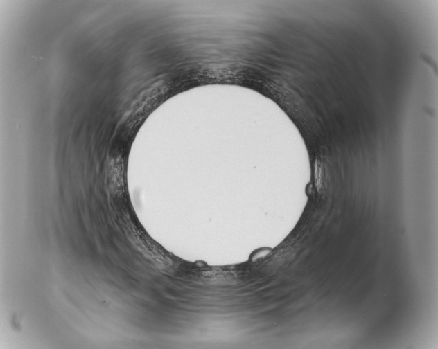 X0000102021107200808151309