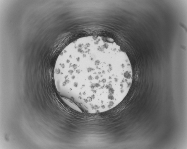 X0000102021108200808151309