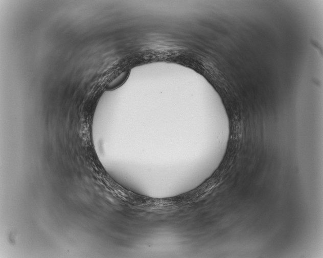 X0000102021109200808151309