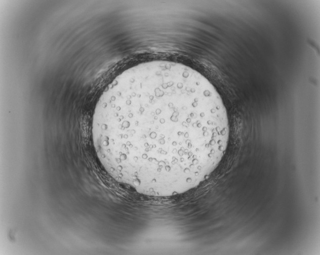 X0000102021110200808151309