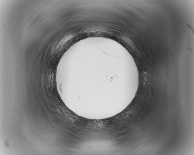 X0000102021111200808151309